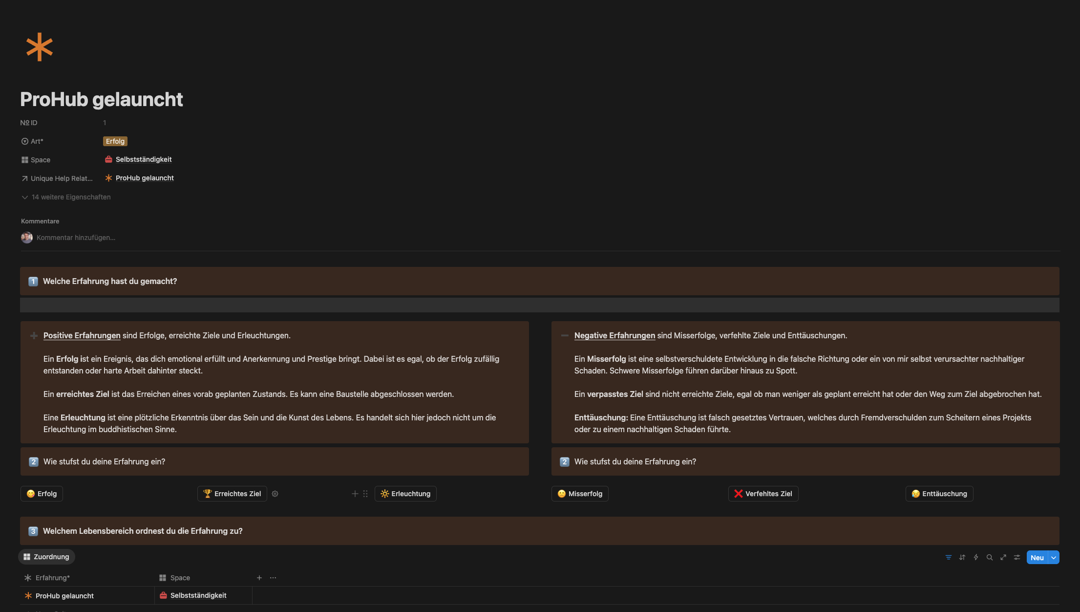 ProHub Erfolgsjournal